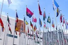 熊猫体育官方官网在线-曼联vs布莱顿比分