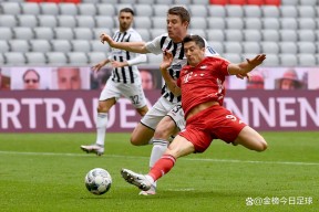 熊猫体育官方官网在线-多伦多猛龙队夺冠阵容